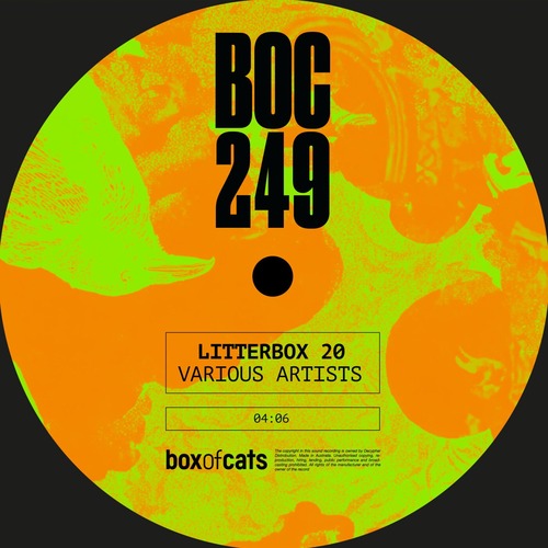Various Artists – Litterbox 20 [Box Of Cats] — Bass House 2026 