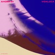 Vidaloca - Ahora Si!