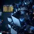Vooz Brothers - Hollow