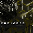 Cubicore - What You Want