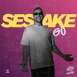 SeSaKe - GO