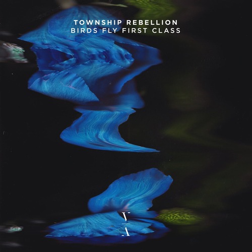 Township Rebellion - Birds Fly First Class (Original Mix) 