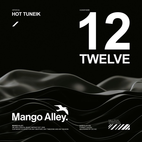 Hot Tuneik – Twelve (2026) [320 kbps]