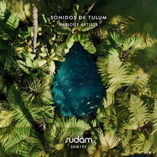 VA – Sonidos de Tulum (2026) [320 kbps]