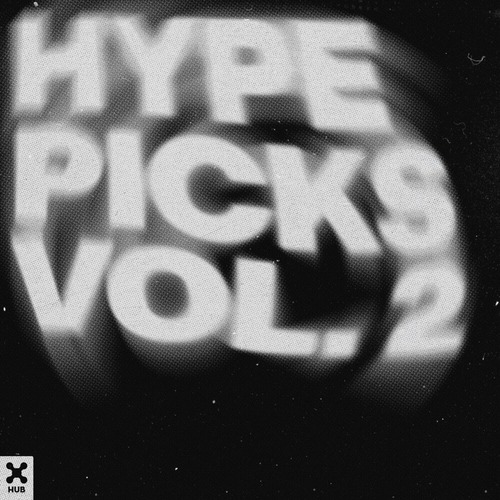 VA - Hype Picks, Vol. 2 (Extended Mix) 