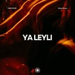 Nicky Grown, THEOUTSIDE - Ya Leyli (Extended Mix)