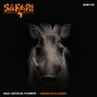 Saul Antolin, FLOWFAT - Under No Illusion