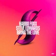 Steve Edwards, Habbo Foxx - Bring The Love