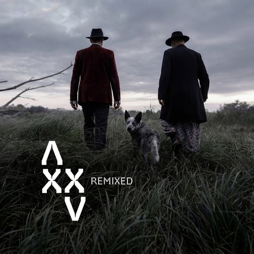 Antix – XXV Remixed [Iboga Records] — Progressive / Melodic Techno 2026