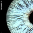 Nosi - Things I Have Never Seen (Extended)