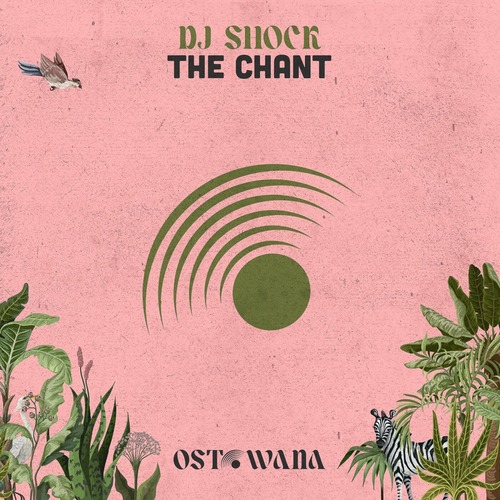 DJ Shock - The Chant (Original Mix) DJ Shock - The Chant (Original Mix)