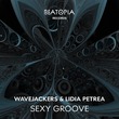 Wavejackers, Lidia Petrea - Sexy Groove