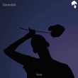 Sarandub - Void Sarandub - Void