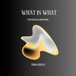 Tom Gasco - What Is What (Tech House Latin House)