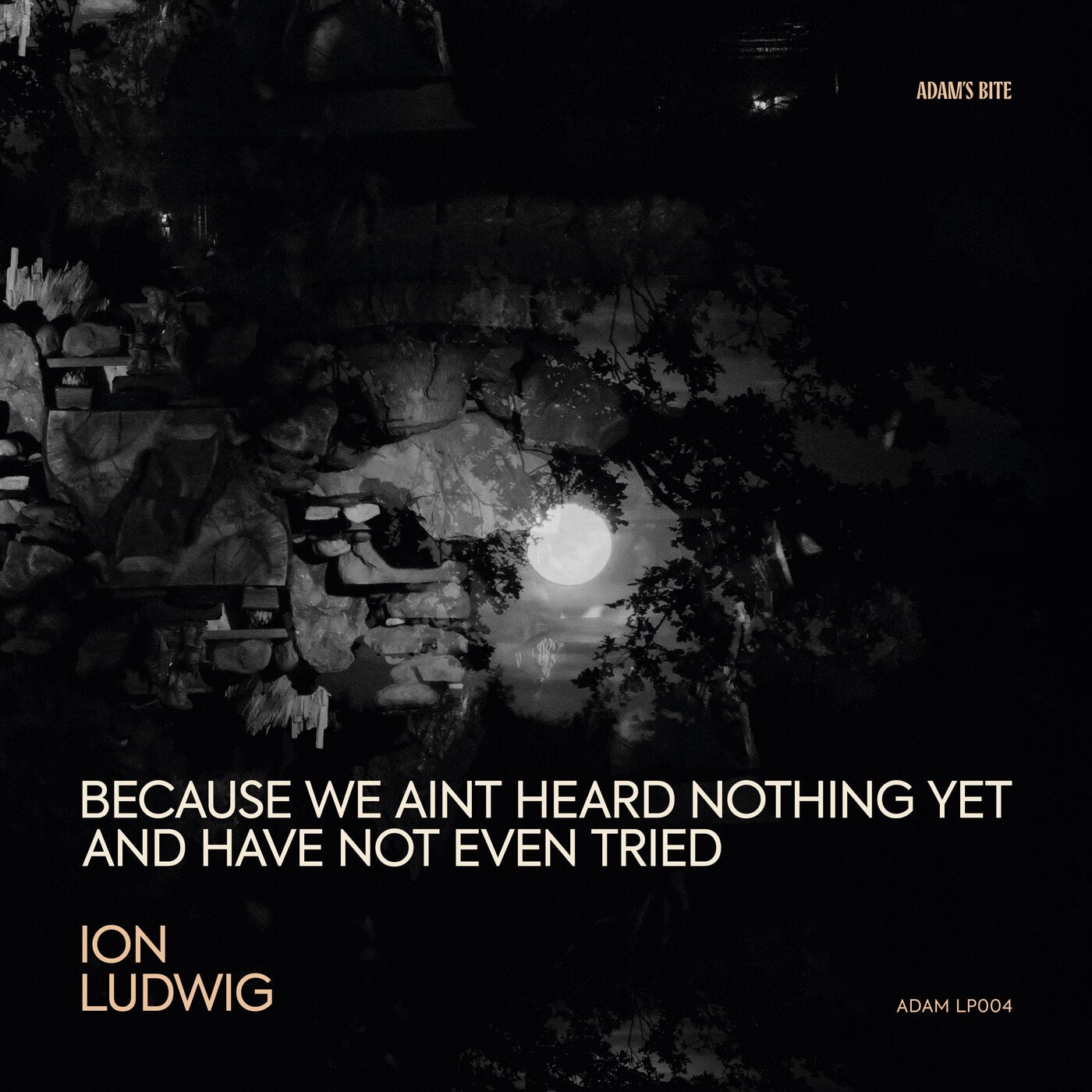 Ion Ludwig - Because We Ain't Heard Nothing yet and Have Not Even Tried