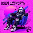Richard Grey, Bornstar Dj - Don't Wake Me Up Richard Grey, Bornstar Dj - Don't Wake Me Up