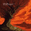 Trilium, Erika Krall - Fall Into the Ache