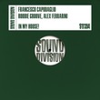Robbie Groove, Alex Ferrarini, Francesco Capodaglio - In My House!