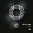 Vedant Jadia - No Para