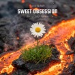 Lava & Ash - Sweet Obsession (Soma Soul's Back To Love Remix)