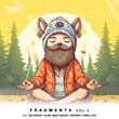 VA - Fragments, Vol. 3 VA - Fragments, Vol. 3