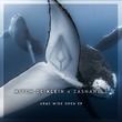 Mitch De Klein, Zashanell - Arms Wide Open Mitch De Klein, Zashanell - Arms Wide Open
