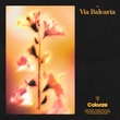Estiva - Via Balearia Estiva - Via Balearia
