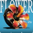 Viot - Flower