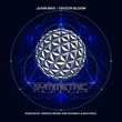 Juani Bria - Frozen Bloom