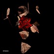 VA - RPVA004