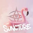 Sunora, FunkT!de - Disco Voices (Extended Mix)