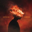 Zander Shine - lose your mind