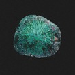 Yannick Mueller - Back