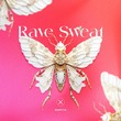 BARTY B - Rave Sweat