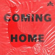 Adriatique, Rhys from the Sticks - Coming Home Adriatique, Rhys from the Sticks - Coming Home