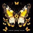 Limetra - Mirage / Yellow Limetra - Mirage / Yellow