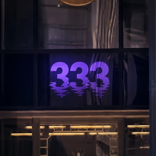 Super Flu, Peace Control, Eric Reyes – 333 [DIDSCHN022]