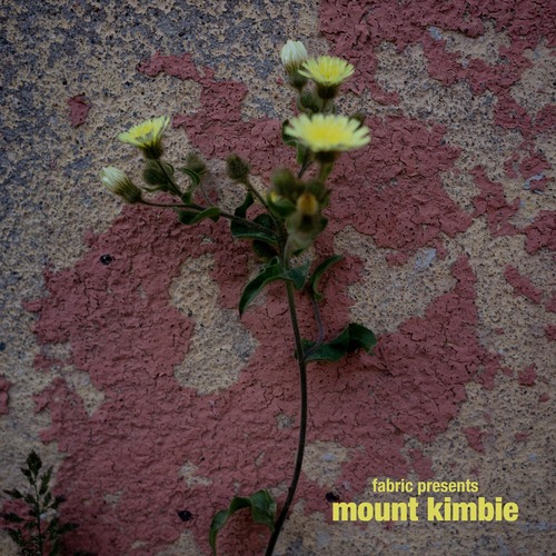 VA – fabric presents Mount Kimbie [FABRIC232DL] 