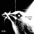 BELLADONNA (OFC), Noctura (ofc) - Birds Don't Talk