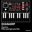 Dianarp - Soulsynth 12