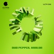 Dub Pepper, VAALOR - Hit That