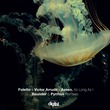 Foletto, Victor Arruda, Asven - As Long as I: Baunder & Pyrrhus Remixes