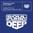 Demarkus Lewis, DJ Lady D - A Deep-Felt Love - Ralph Session Extended Basement Mix