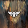 Moonphazes, RYCH DSYGNR - Alpha & Ômega