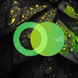 Avrix, Fialkovska - Acid Drop