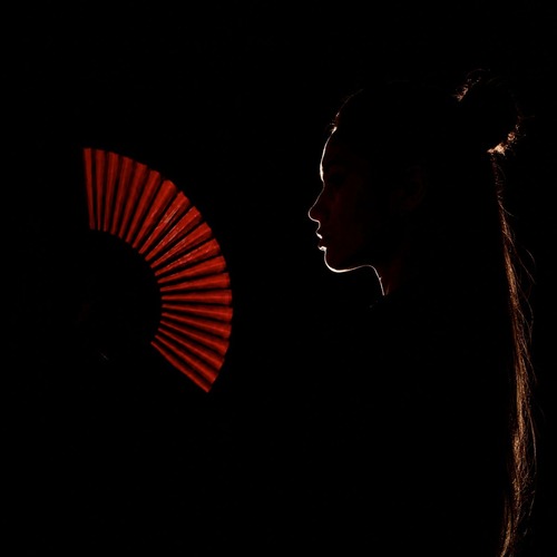  Slive, KRISTINA PI - House of Geisha (Extended Mix) [Nobody Knows Us]