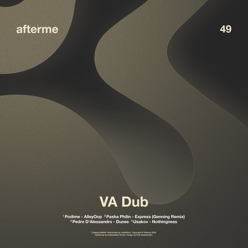 VA - VA Dub [DAM49]
