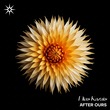 Elias Kazais - After Ours Elias Kazais - After Ours