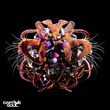 Glowal, DREYA V - Physique Glowal, DREYA V - Physique