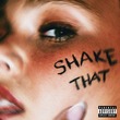 Zachh - Shake That